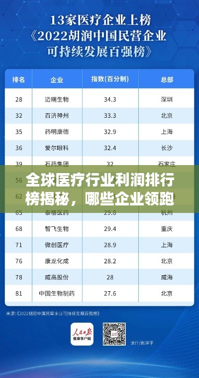 全球醫(yī)療行業(yè)利潤排行榜揭秘，哪些企業(yè)領跑行業(yè)賺錢榜？