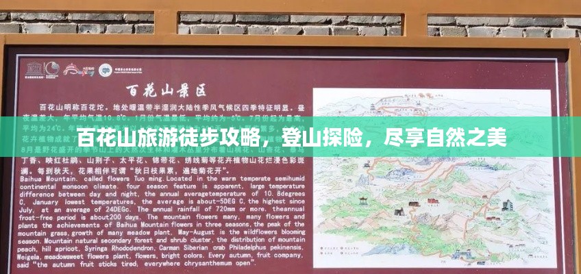 百花山旅游徒步攻略，登山探險，盡享自然之美
