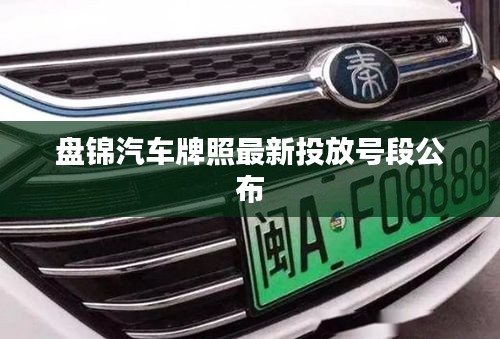 盤(pán)錦汽車牌照最新投放號(hào)段公布