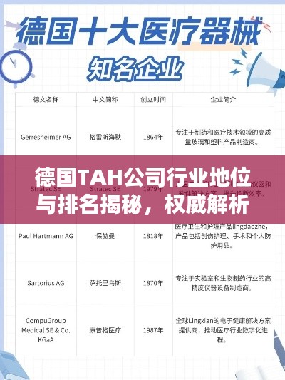 德國TAH公司行業(yè)地位與排名揭秘，權(quán)威解析引領(lǐng)關(guān)注焦點