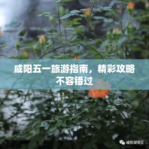 咸陽五一旅游指南，精彩攻略不容錯過