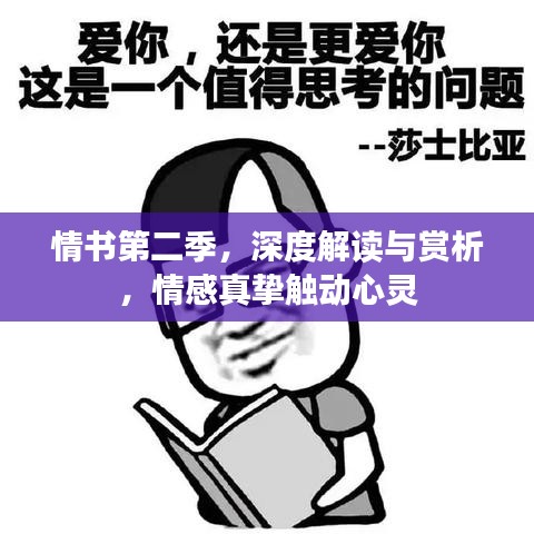 情書第二季，深度解讀與賞析，情感真摯觸動(dòng)心靈