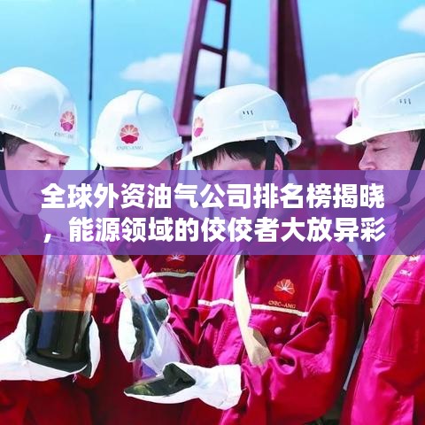 全球外資油氣公司排名榜揭曉，能源領(lǐng)域的佼佼者大放異彩！