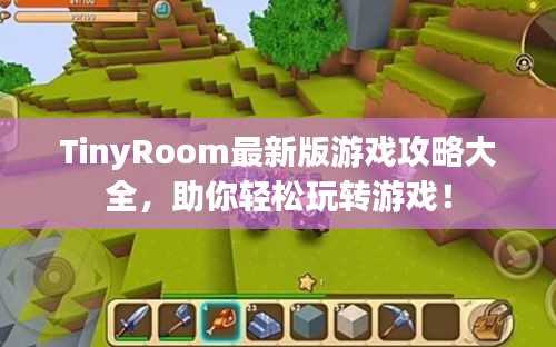 TinyRoom最新版游戲攻略大全，助你輕松玩轉(zhuǎn)游戲！