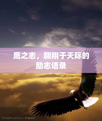 鷹之志，翱翔于天際的勵志語錄