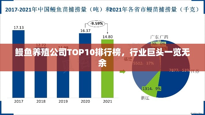 鰻魚養(yǎng)殖公司TOP10排行榜，行業(yè)巨頭一覽無余