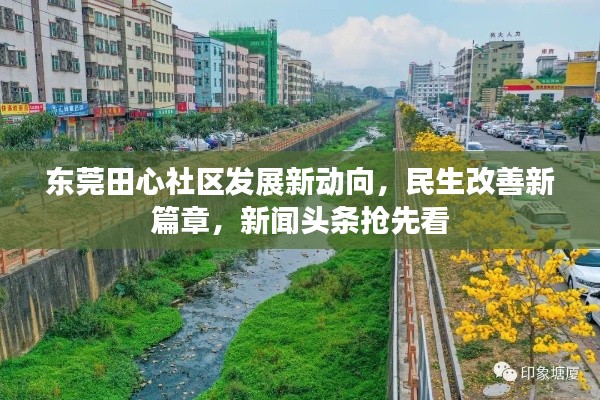東莞田心社區(qū)發(fā)展新動(dòng)向，民生改善新篇章，新聞?lì)^條搶先看