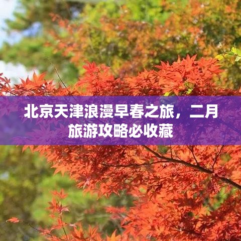 北京天津浪漫早春之旅，二月旅游攻略必收藏