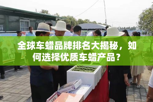 全球車蠟品牌排名大揭秘，如何選擇優(yōu)質(zhì)車蠟產(chǎn)品？