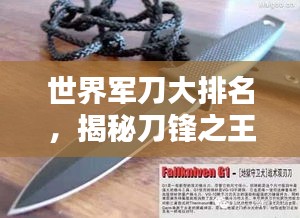 世界軍刀大排名，揭秘刀鋒之王的神秘面紗！