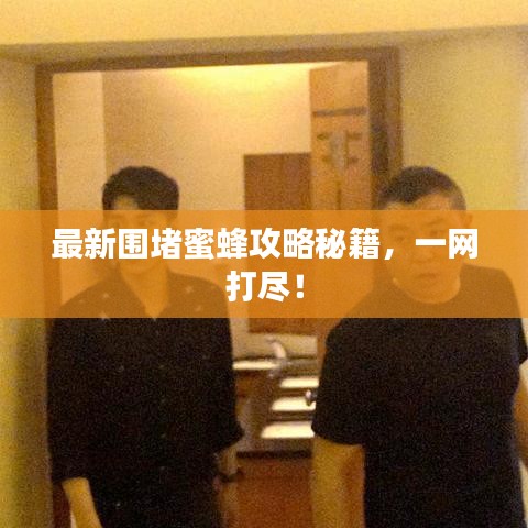 最新圍堵蜜蜂攻略秘籍，一網(wǎng)打盡！