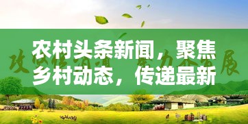 農(nóng)村頭條新聞，聚焦鄉(xiāng)村動態(tài)，傳遞最新資訊