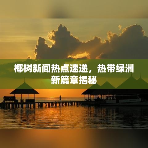 椰樹新聞熱點速遞，熱帶綠洲新篇章揭秘