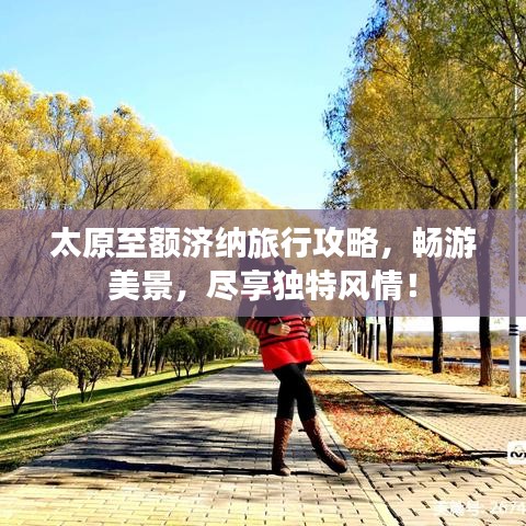 太原至額濟(jì)納旅行攻略，暢游美景，盡享獨(dú)特風(fēng)情！