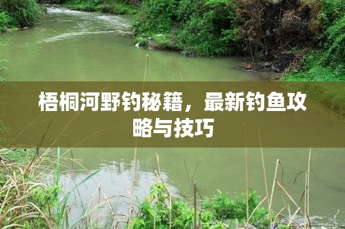 梧桐河野釣秘籍，最新釣魚攻略與技巧