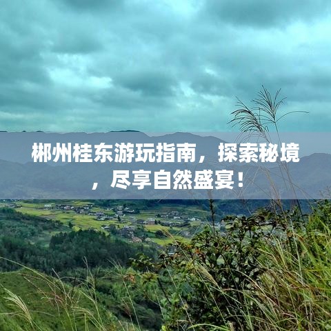 郴州桂東游玩指南，探索秘境，盡享自然盛宴！