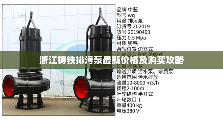 浙江鑄鐵排污泵最新價(jià)格及購買攻略