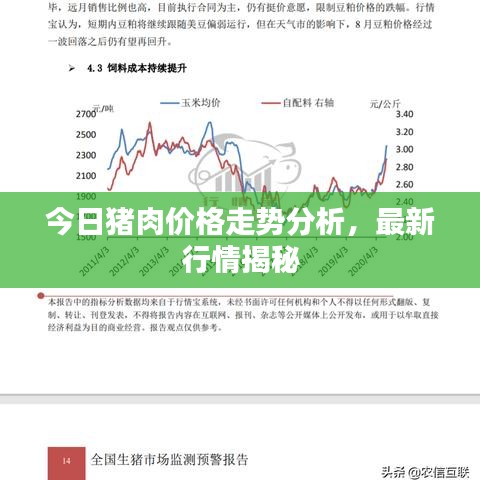 今日豬肉價格走勢分析，最新行情揭秘