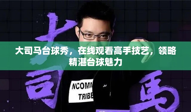 大司馬臺球秀，在線觀看高手技藝，領(lǐng)略精湛臺球魅力