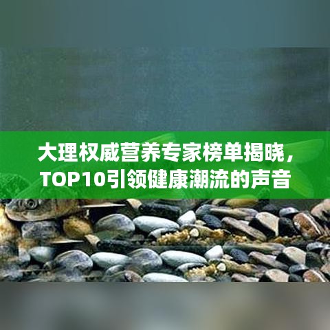 大理權(quán)威營養(yǎng)專家榜單揭曉，TOP10引領(lǐng)健康潮流的聲音
