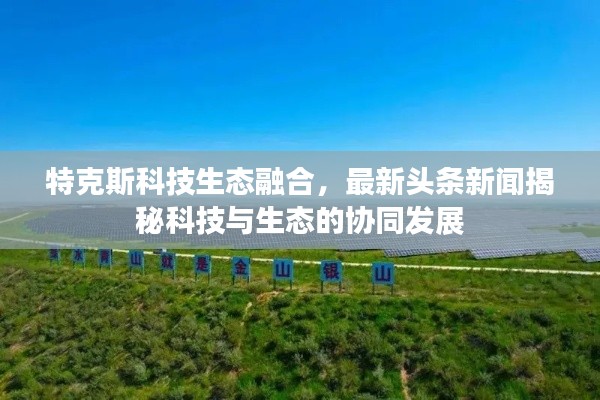 鳥(niǎo)聲獸心 第2頁(yè)