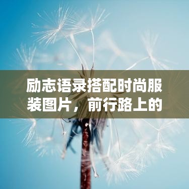 勵志語錄搭配時尚服裝圖片，前行路上的靈感源泉