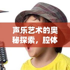 聲樂藝術(shù)的奧秘探索，腔體構(gòu)造圖全解析