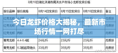 今日龍蝦價(jià)格大揭秘，最新市場行情一網(wǎng)打盡