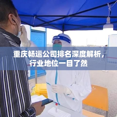 重慶暢運(yùn)公司排名深度解析，行業(yè)地位一目了然