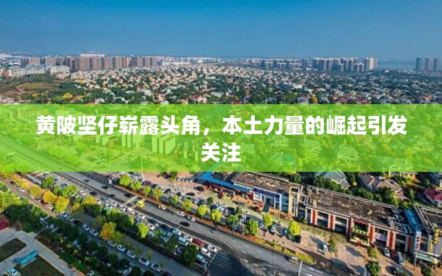 黃陂堅仔嶄露頭角，本土力量的崛起引發(fā)關(guān)注