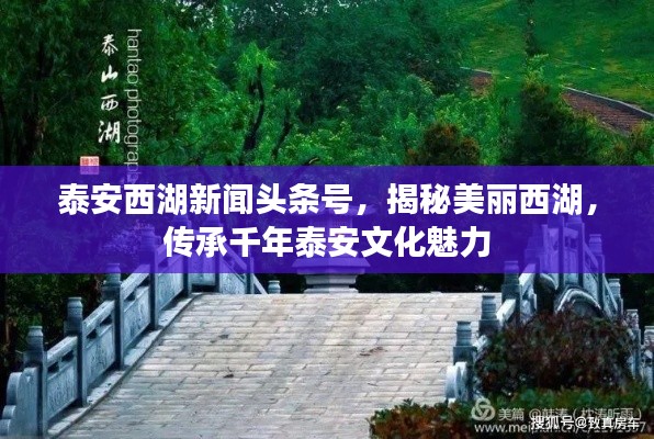 泰安西湖新聞頭條號，揭秘美麗西湖，傳承千年泰安文化魅力