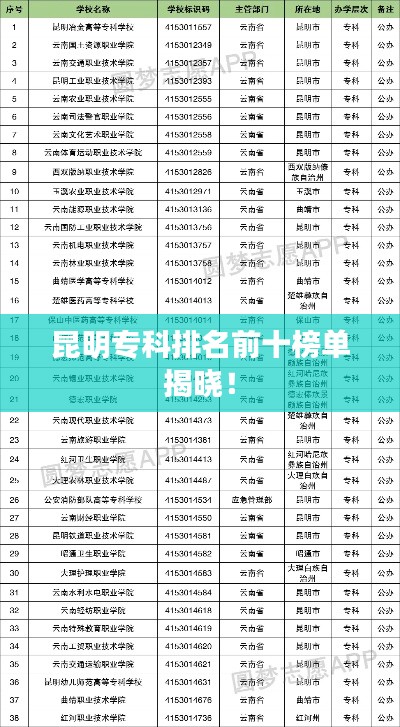 昆明?？婆琶笆駟谓視?！