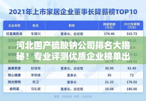 河北國產(chǎn)硫酸鈉公司排名大揭秘！專業(yè)評測優(yōu)質(zhì)企業(yè)榜單出爐！