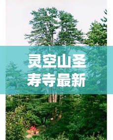 字斟句酌 第2頁