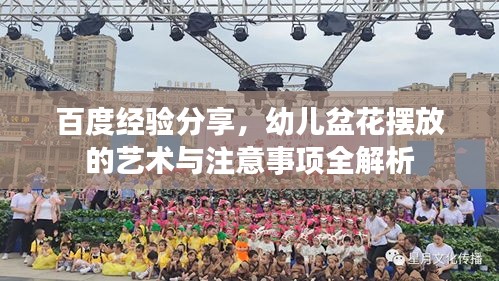 百度經(jīng)驗(yàn)分享，幼兒盆花擺放的藝術(shù)與注意事項(xiàng)全解析