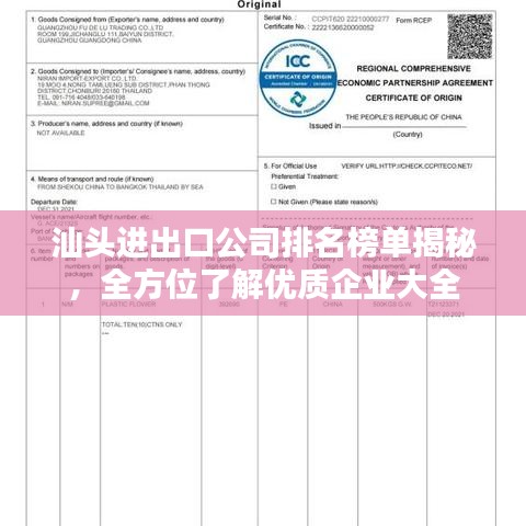 汕頭進出口公司排名榜單揭秘，全方位了解優(yōu)質企業(yè)大全