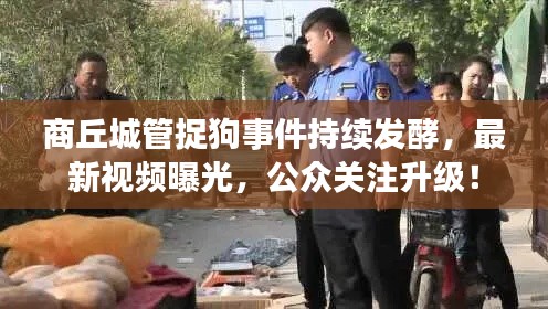 商丘城管捉狗事件持續(xù)發(fā)酵，最新視頻曝光，公眾關(guān)注升級！