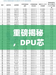 重磅揭秘，DPU芯片公司排名及行業(yè)深度剖析！