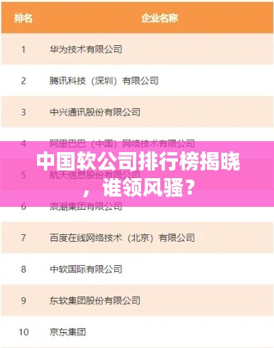 中國軟公司排行榜揭曉，誰領(lǐng)風(fēng)騷？