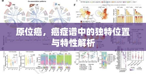 原位癌，癌癥譜中的獨(dú)特位置與特性解析