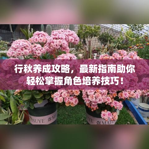 行秋養(yǎng)成攻略，最新指南助你輕松掌握角色培養(yǎng)技巧！