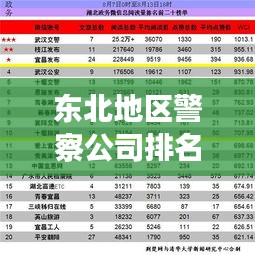 東北地區(qū)警察公司排名揭秘，影響力與實(shí)力并存的警務(wù)巨頭榜單