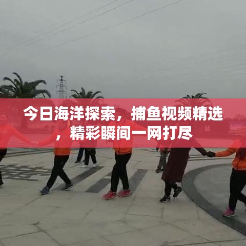 今日海洋探索，捕魚視頻精選，精彩瞬間一網打盡