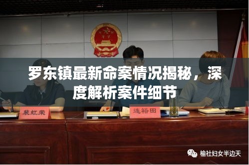 羅東鎮(zhèn)最新命案情況揭秘，深度解析案件細節(jié)
