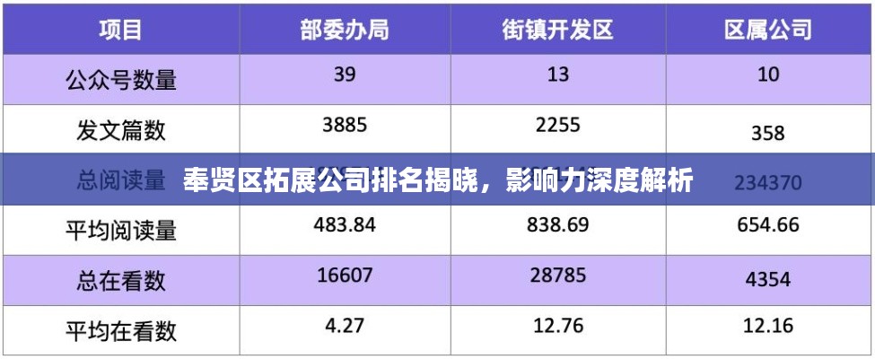 奉賢區(qū)拓展公司排名揭曉，影響力深度解析