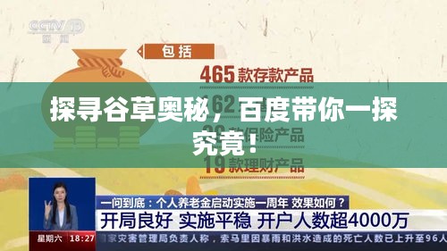 探尋谷草奧秘，百度帶你一探究竟！