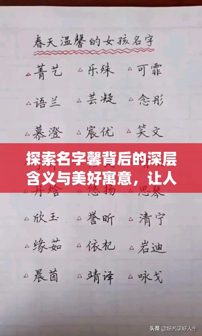 探索名字馨背后的深層含義與美好寓意，讓人心動的名字故事！