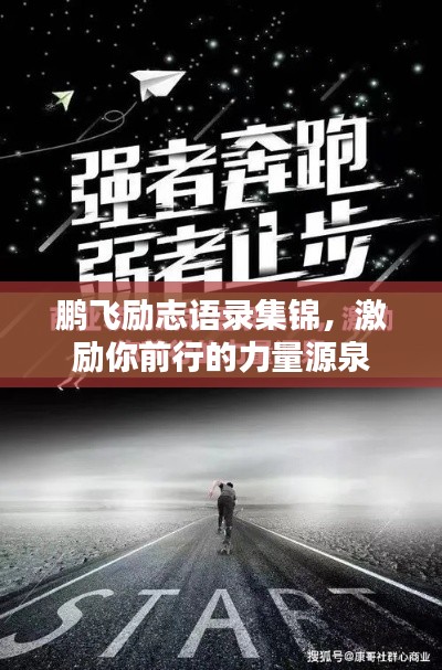 鵬飛勵志語錄集錦，激勵你前行的力量源泉