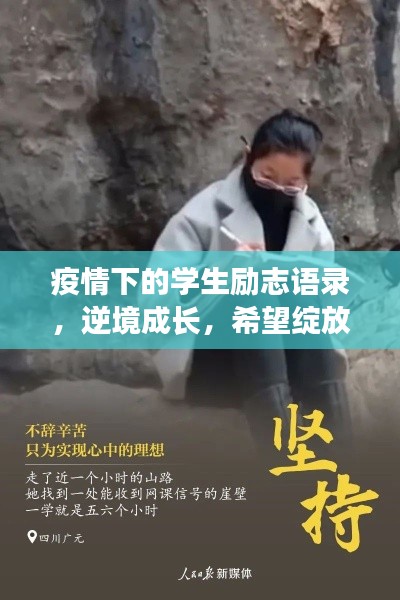 沒(méi)張倒置 第2頁(yè)