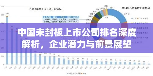 中國未封板上市公司排名深度解析，企業(yè)潛力與前景展望